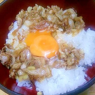 お手軽豚丼/甘辛味・月見